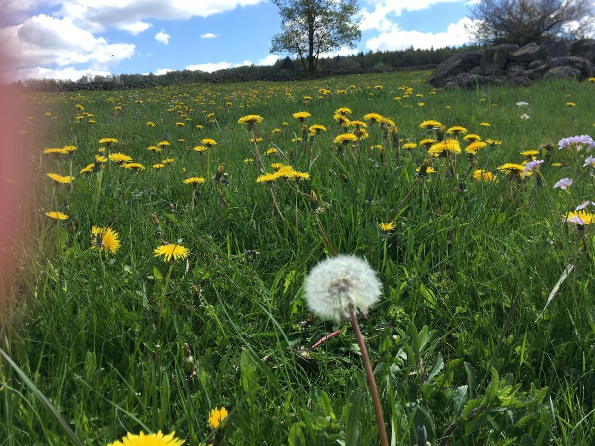 Rhoener Sternenhimmel Fewo 1 Und 2 Frankenheim/Rhon ภายนอก รูปภาพ